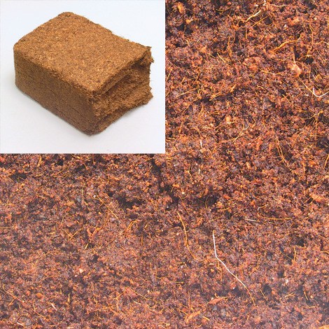 A block and spread out Coco Humus.