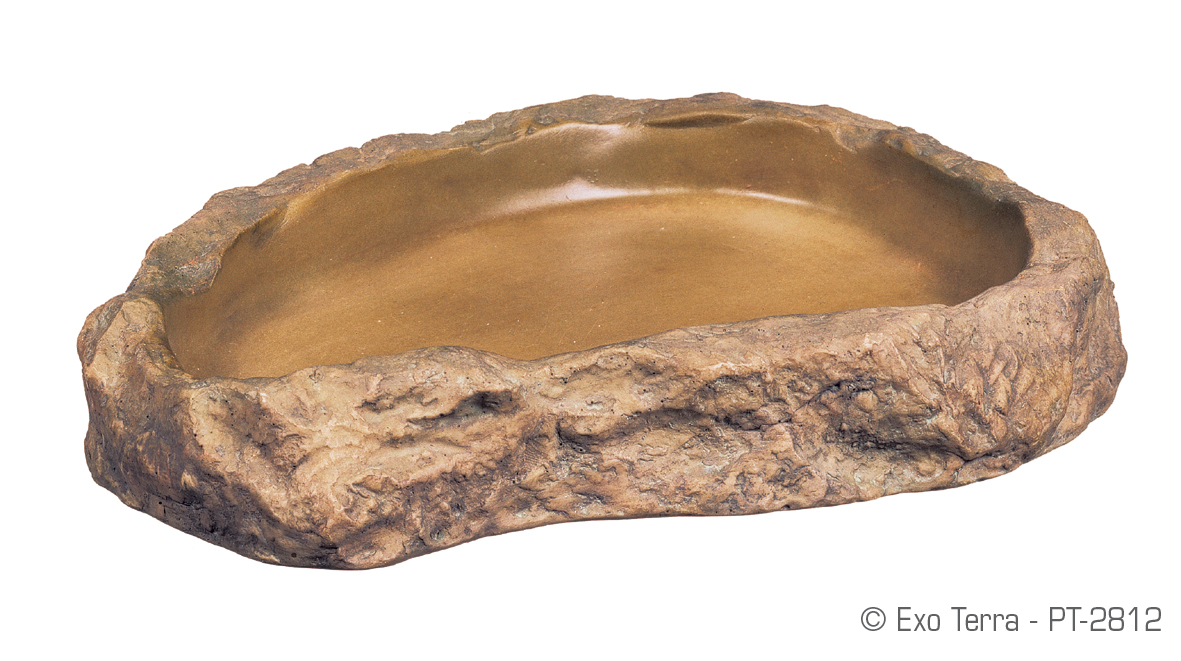 Example of a standard reptile dish. Designed to look like a rock pool.