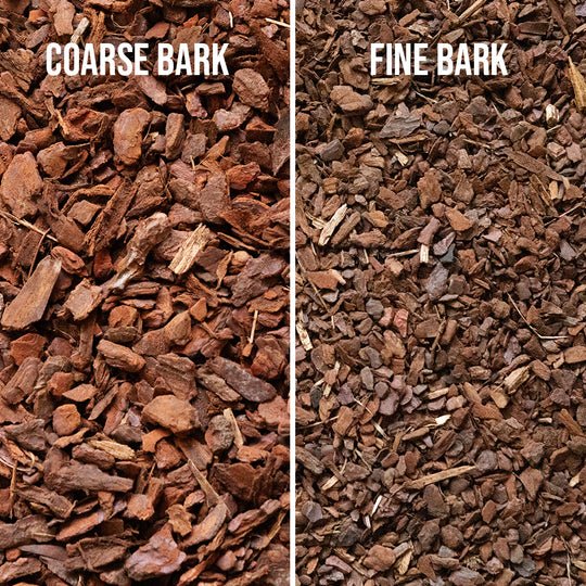 A comparison of Fine and Coarse Orchid Bark.