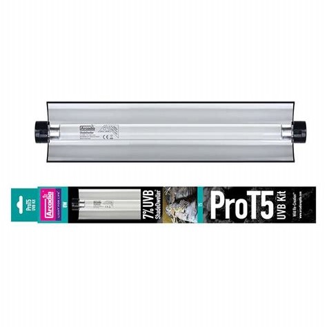 A ProT5 UVB Arcadia Bulb kit. 