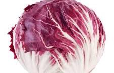 Radicchio Lettuce head.