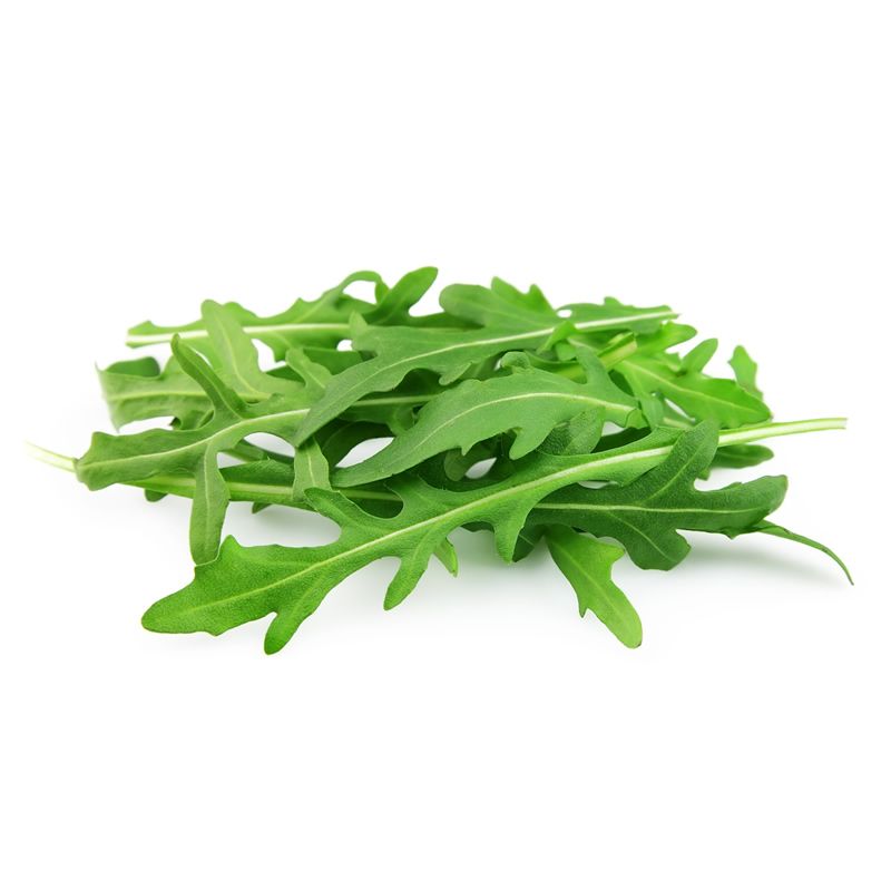 Rocket leaves on a white background